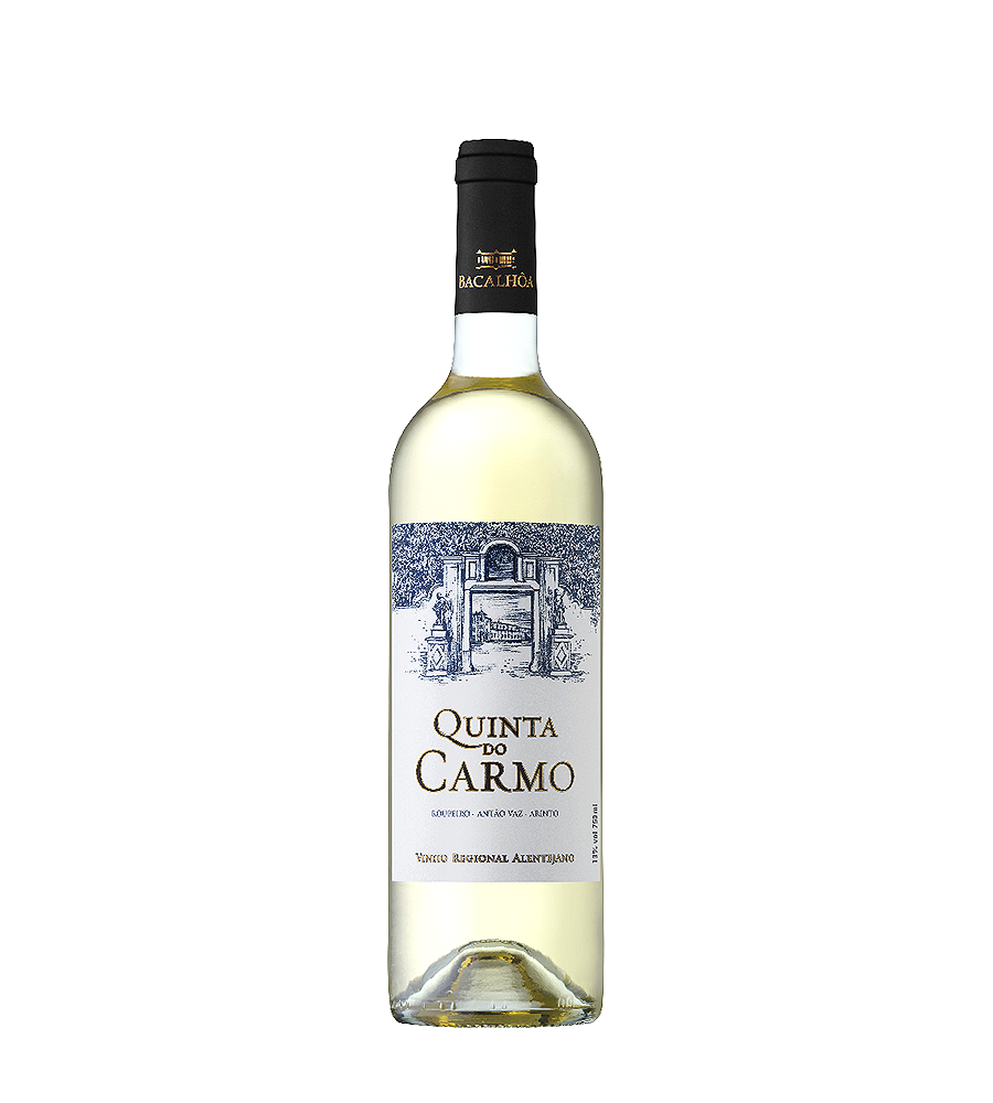 Vinho Branco Quinta do Carmo 2022, 75cl Alentejo – Vinha