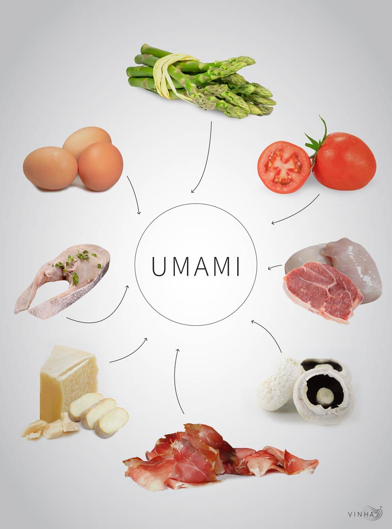 Cogumelos  Centro de Informações Umami