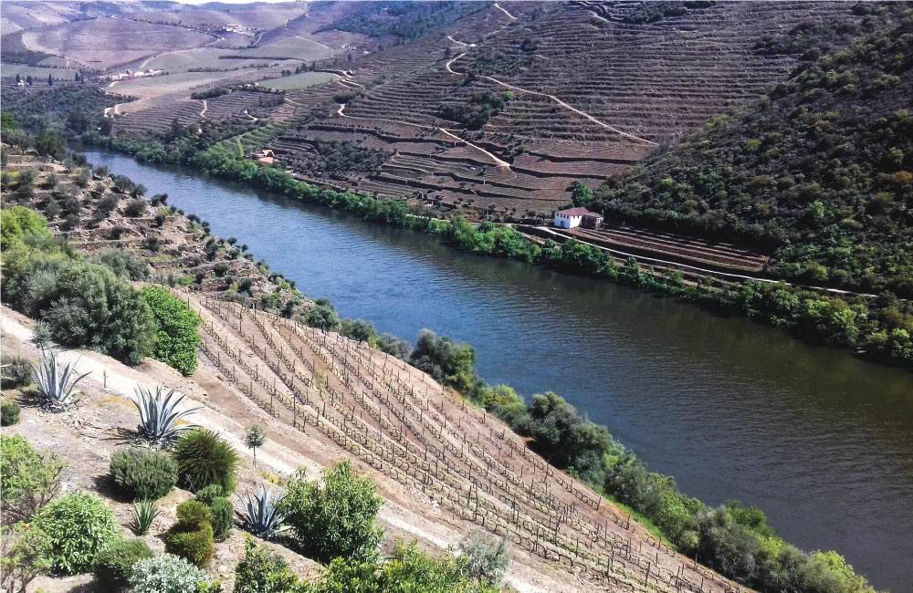 Os Segredos do Douro