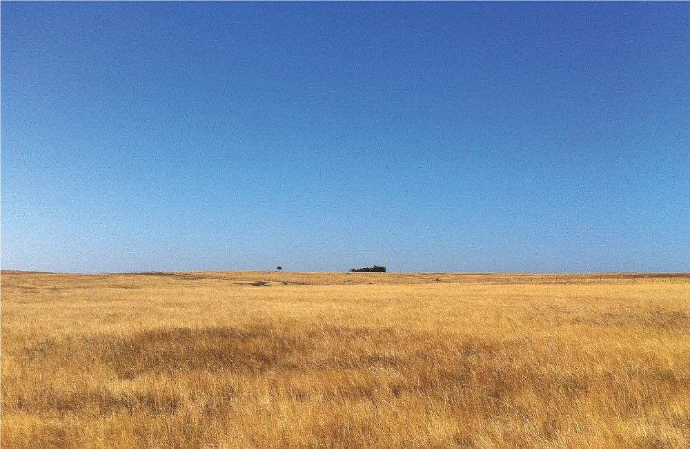 Alentejo Para Lá do Vinho