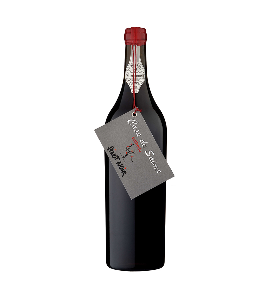 Vinho Tinto Casa de Saima Pinot Noir 2019, 75cl Bairrada