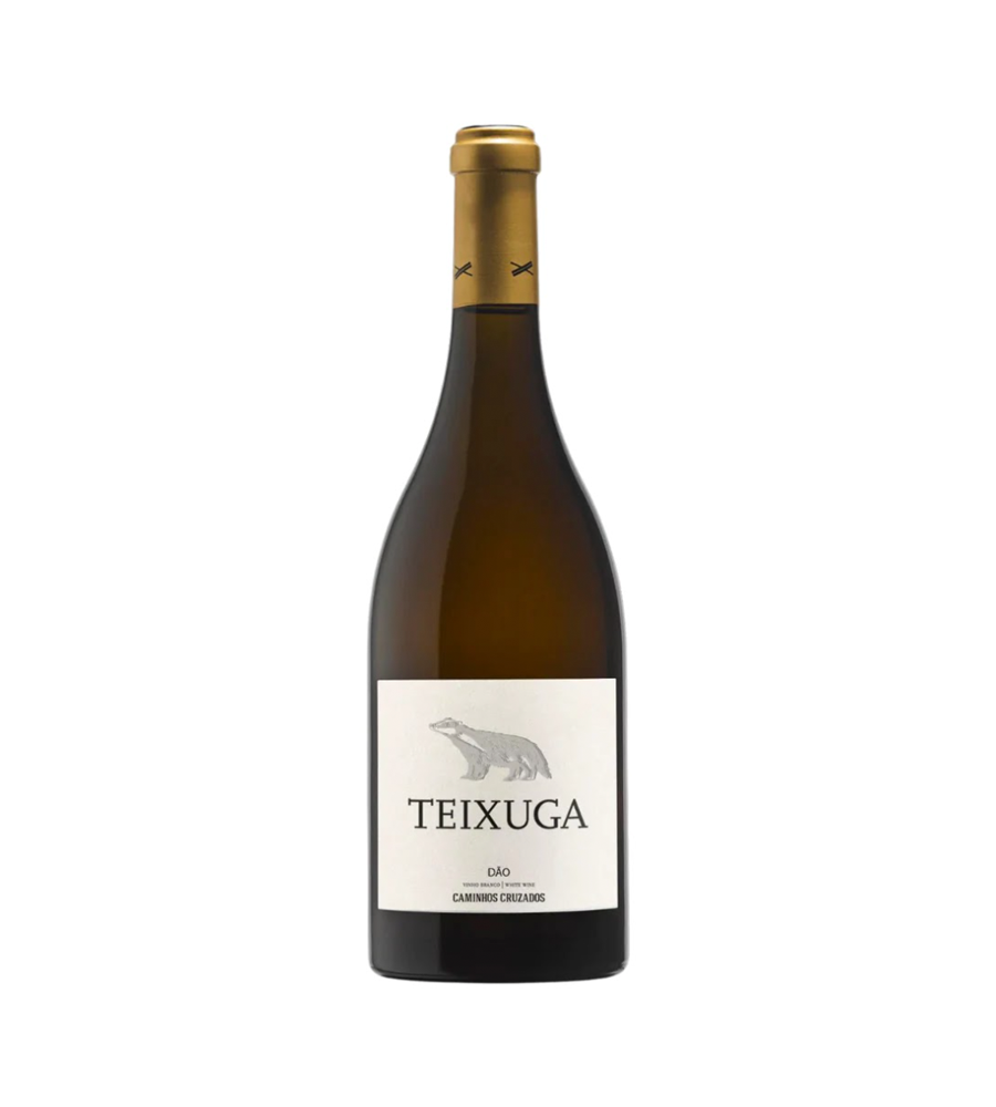 Vinho Branco Teixuga Encruzado 2016, 75cl Dão