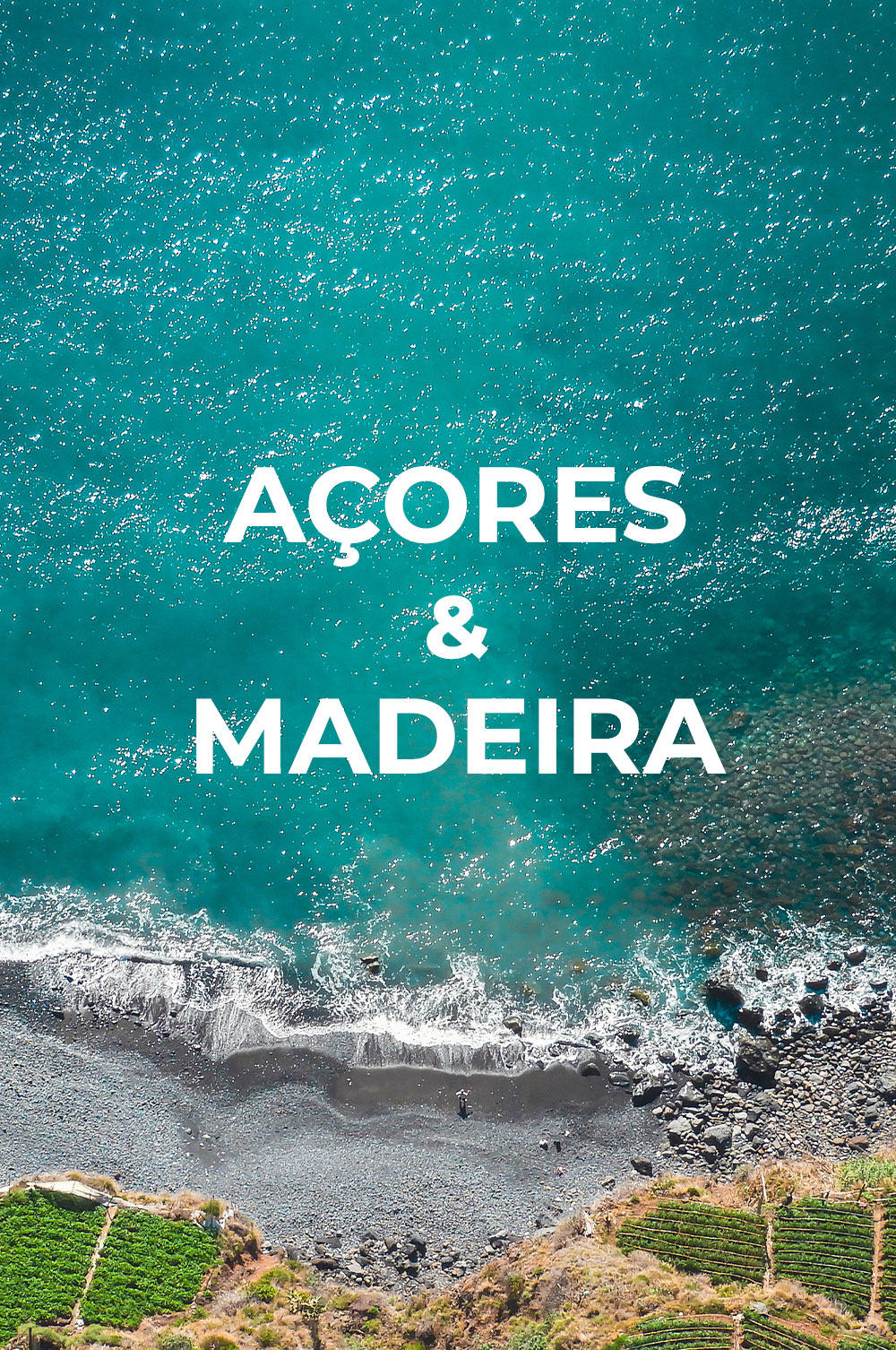 Açores e Madeira: descubra os vinhos das ilhas portuguesas