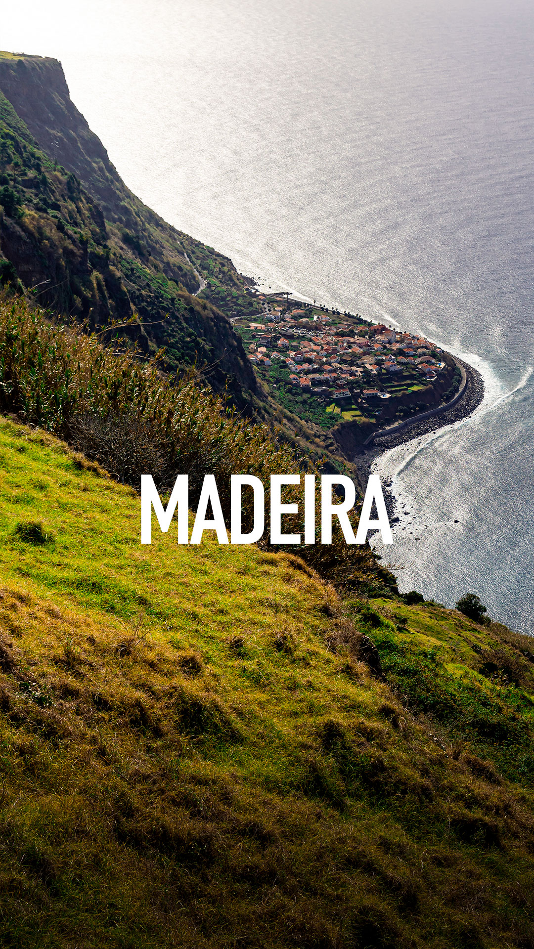 Celebre o Dia da Madeira com os sabores únicos da ilha