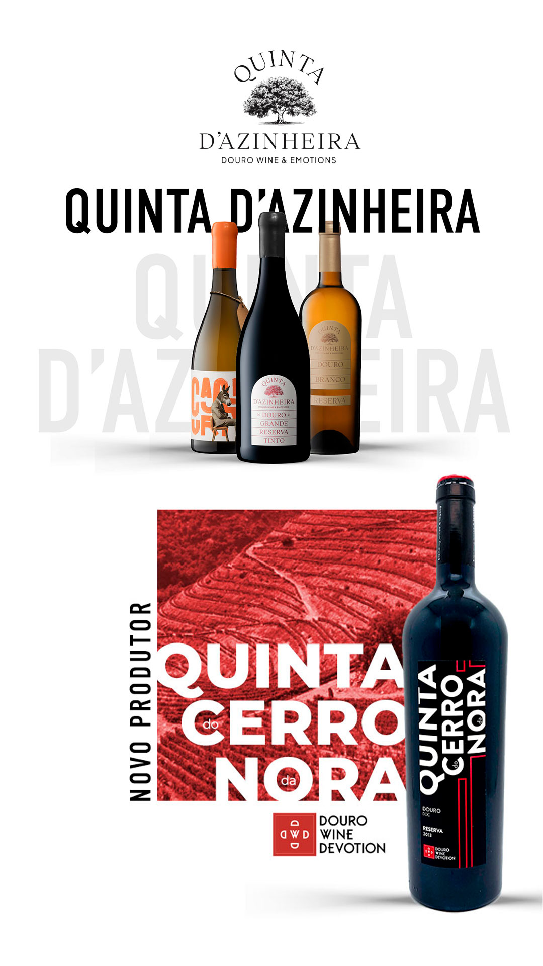 Super Grapes dá as boas-vindas a duas novas joias do Douro: Quinta do Cerro da Nora e Quinta D’Azinheira